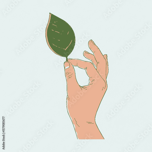 hand holding green leaf
