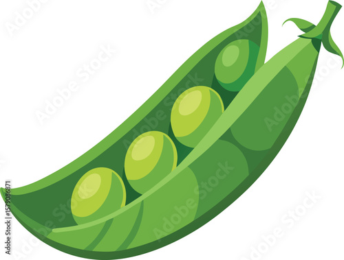Fresh Produce Art Collections Fresh Green Peas in a Pod, Vibrant Vegetable Illustration, Healthy Food Graphic, Garden Produce, Dietary...