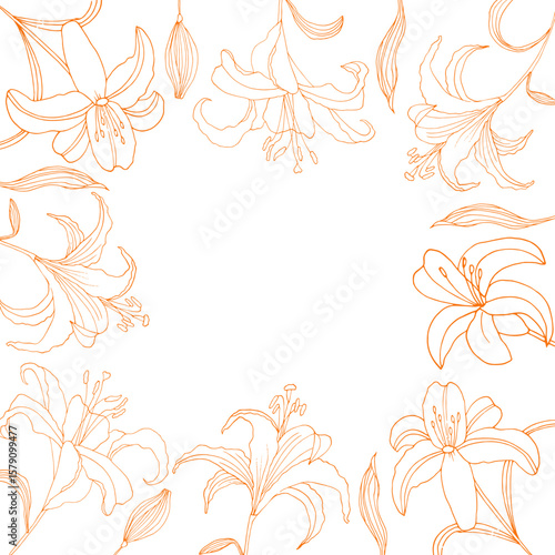 Pattern with transparent orange lilies. Hand-drawn vector illustration for wedding, invitation or greeting card. 