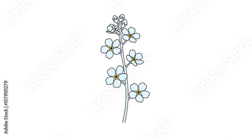 Blue forget me not flower branch with delicate petals and stem outline for floral art