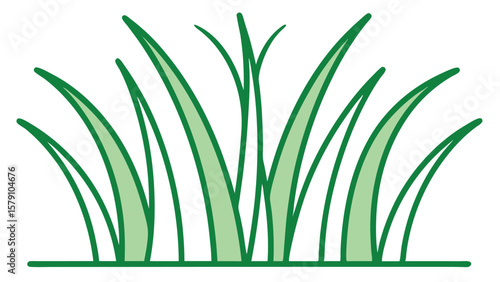 Green blades of grass against a white background