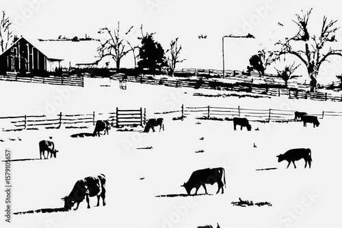 Black and white sketch illustration shows ranch with cattle in field, animals grazing under bare trees and fence near barn. This ranch with cattle in field evokes rural simplicity and peace.