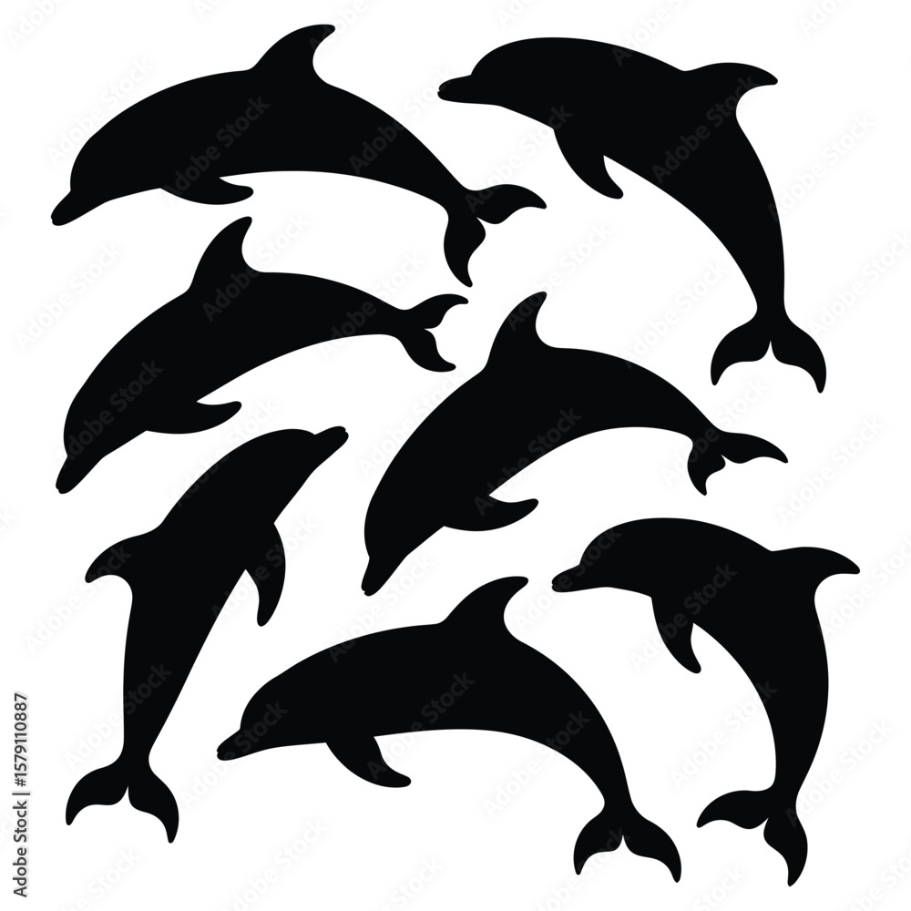 Naklejka premium Black and White Dolphin Illustration