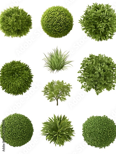 緑の球体コレクション