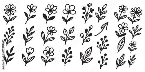 Flower brush hand drawn vector set. Hand drawn doodle flower, floral leaf elements in brush stroke ink style. Simple abstract botanical silhouette set for nature black paint art. Vector illustration