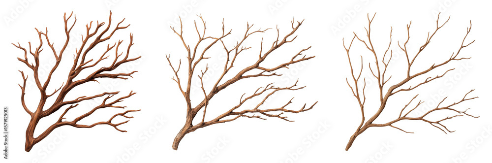 Fototapeta premium Detailed 3D models of bare tree branches