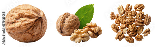 Fresh walnuts with shells and shelled halves on black background