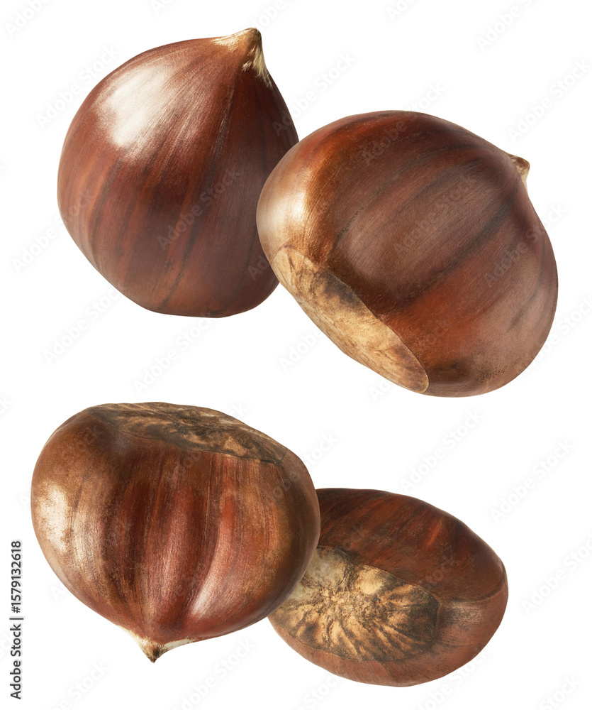 Obraz premium Raw fresh Chestnut falling in the air solated on white background