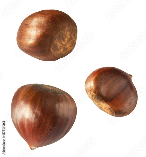 Foto Raw fresh Chestnut falling in the air solated on white background