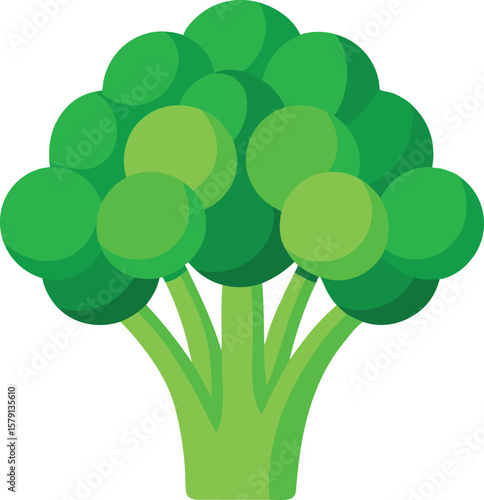 Fresh Vegetable and Produce Graphics Fresh Green Broccoli Florets, Healthy Vegetable, Vitamin Rich Food Illustration, Flat Design, Isolated on White...