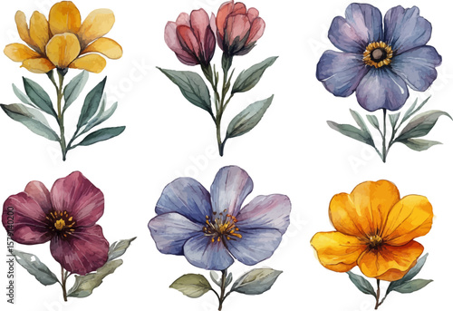 Wallpaper Mural collection of flowers Torontodigital.ca