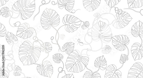 Delicate Monstera Leaf Outlines with Curving Vines in a Seamless Pattern Design.