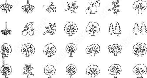 Trees line icon set. Vector pictograms of roots, branches, leaves, fruit, apple, orange, evergreen, tropical, thin linear illustration.