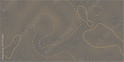 The stylized height of the topographic map contour in lines and contours. The concept of a conditional geography scheme and the terrain path. Orange on black. Ultra wide size. Vector illustration.