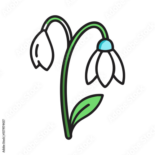 Delicate Snowdrop Flowers in a Simple and Elegant Illustration Style