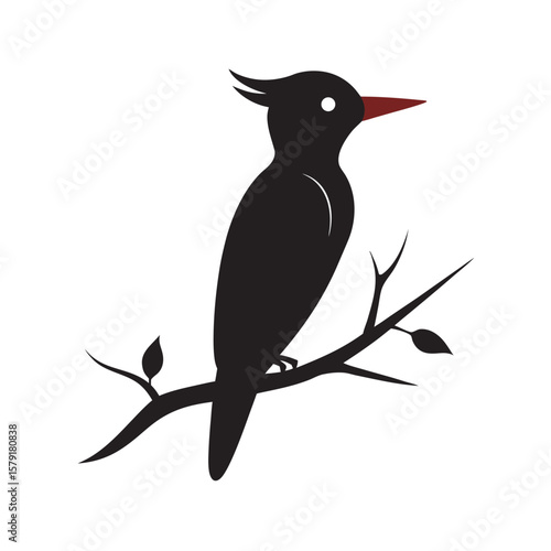 Woodpecker Perched On Lonely Bare Branch