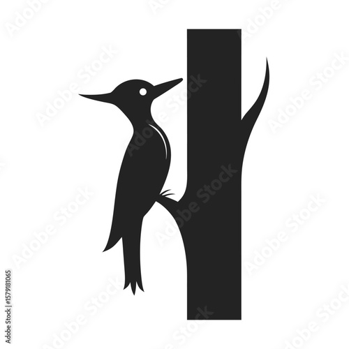 Woodpecker Clinging To Side Of Tree