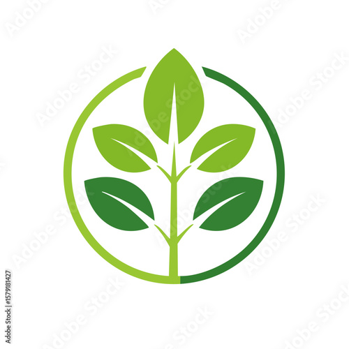 Growth Icon Isolated on a T...