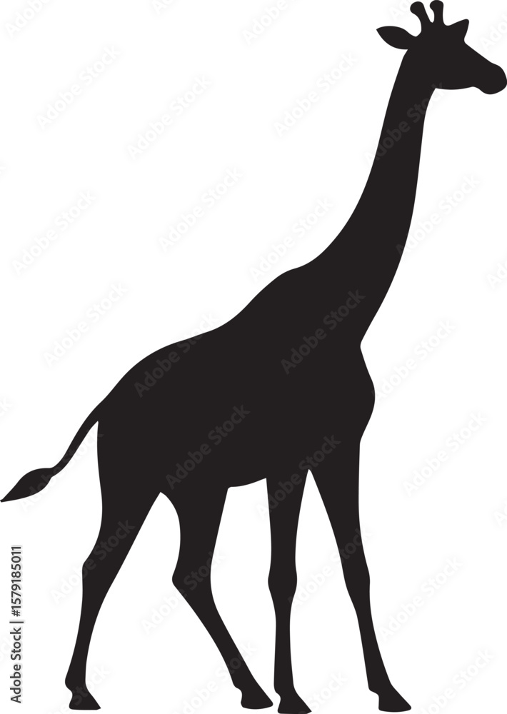 Fototapeta premium giraffe silhouette vector