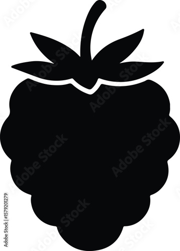 Silhouette raspberry isolated on white background vector Illustrator