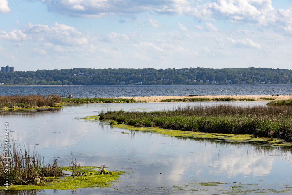 Fototapeta premium Coastal Wetland with Reflections