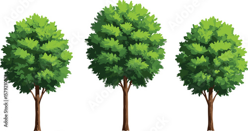 set of green trees