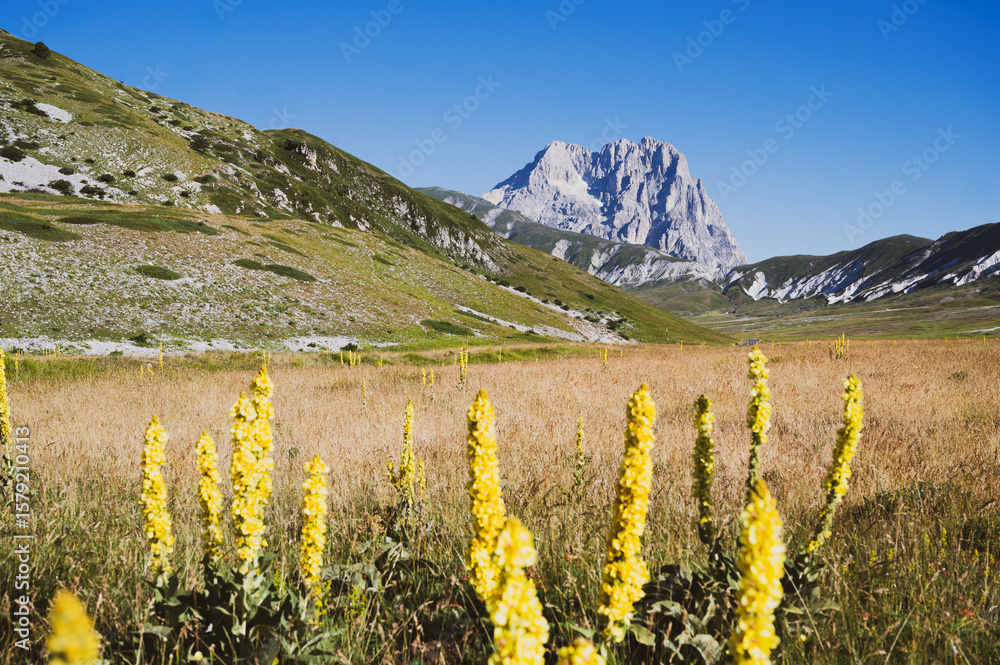 Fototapeta premium Panoramic view of the vast Campo Imperatore plateau, also known as 