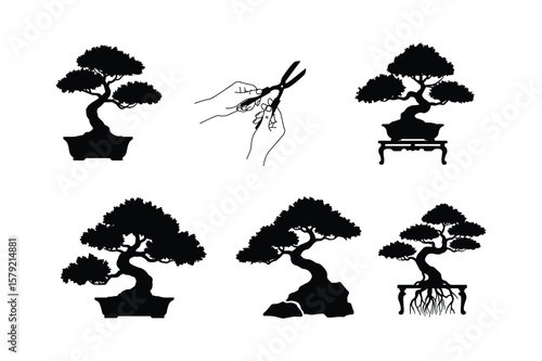 Bonsai trees and pruning shears silhouette gardening
