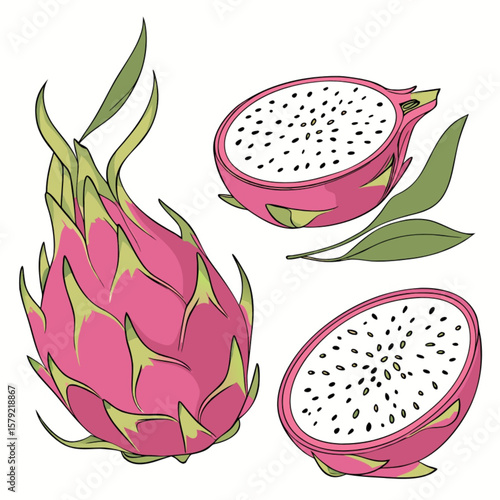 Isolated vector illustration of fresh, exotic dragon fruit and strawberry, perfect for health and food-related designs