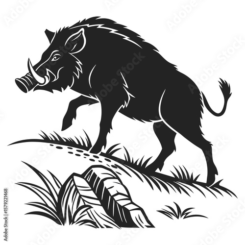 Silhouette shows a fierce wild boar walking through tall grass in black and white