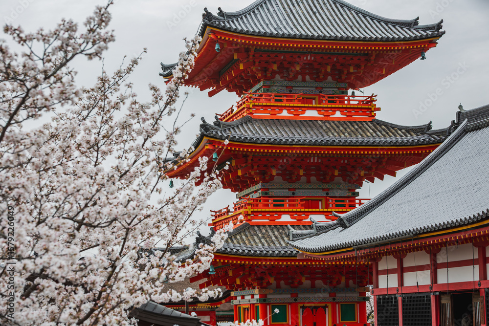 Fototapeta premium Stunning view of To-ji Temple's pagoda in Kyoto, Japan, adorned with vibrant cherry blossoms. Ancient architecture meets spring's beauty.