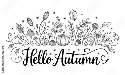 A collection of autumn-themed hand-drawn Autumn plants vector sketches. Hand-drawn set of harvest, modern vector illustrations, including plants, easily editable and scalable.