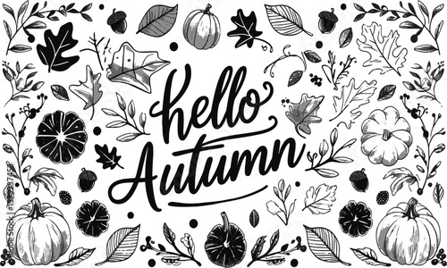 A collection of autumn-themed hand-drawn Autumn plants vector sketches. Hand-drawn set of harvest, modern vector illustrations, including plants, easily editable and scalable.