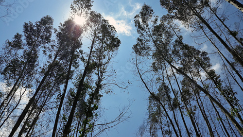 Trek à Madère 2025 - Jour 12 (dernier jour de randonnée jusqu'au col de la Boca do Cerro et le petit village de fond de vallée de Fajã Escura)