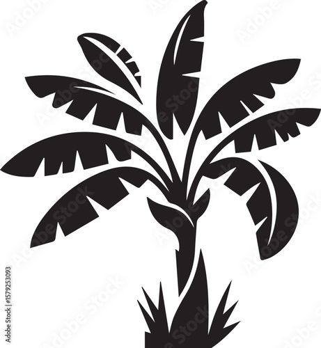 banana tree silhouette vector, black and white