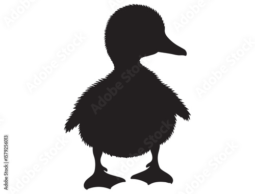 DUCKLING SILHOUETTE
