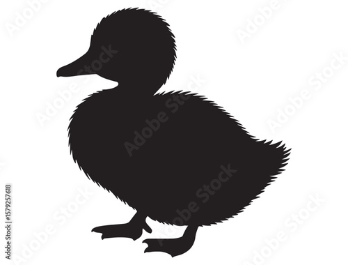 DUCKLING SILHOUETTE