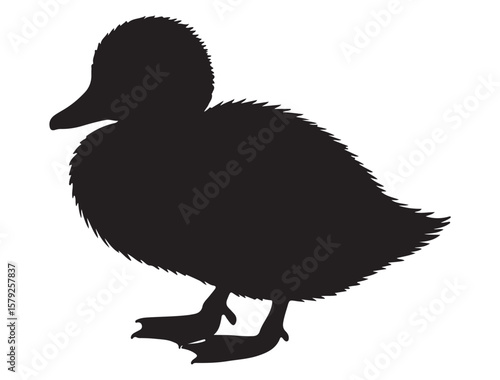 DUCKLING SILHOUETTE