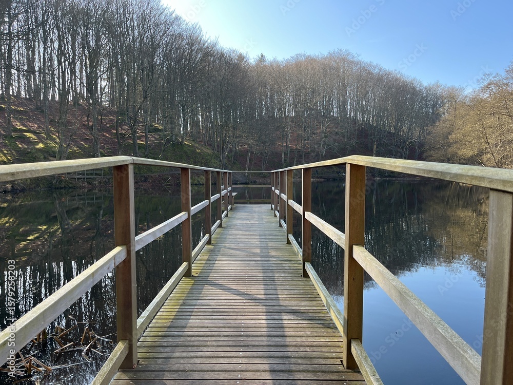 Fototapeta premium wooden pier and bridge on the lake in the forest