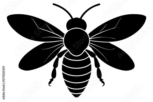 Detailed honey bee insect animal flying creature silhouette vector illustration