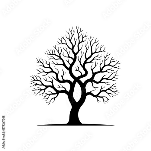 Vector illustration of a tree silhouette with numerous bare branches, showcasing detailed trunk and roots. 