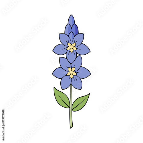 Creative Delphinium Flower Vector Illustration