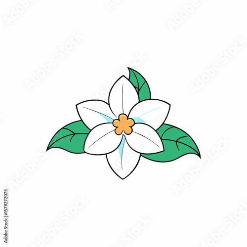 Creative Jasmine Flower Vector Illustration
