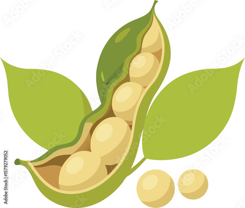 Fresh Soybeans in Pod with Leaves, Healthy and Nutritious Food Illustration
