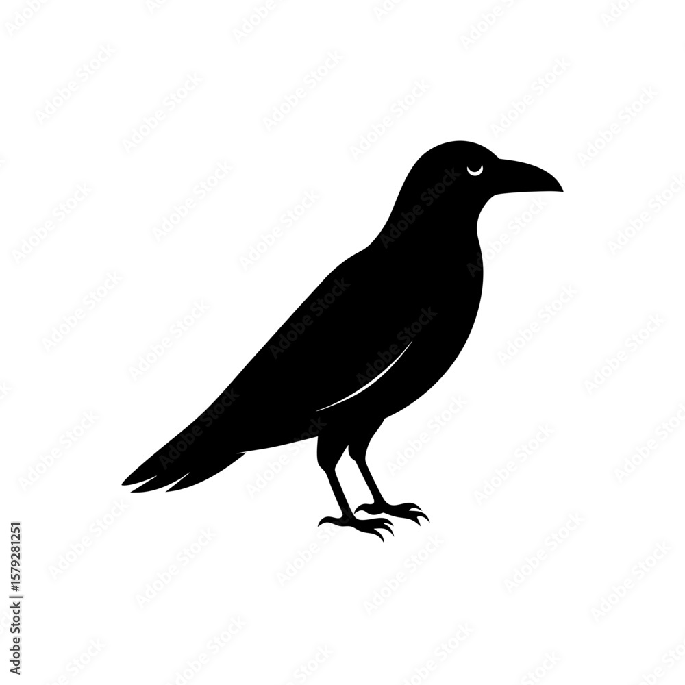 Fototapeta premium Elegant Raven Bird Vector Clipart Mysterious Nature Animal Graphic Design