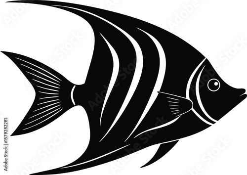 angelfish fish vector illustration