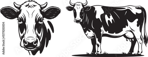 Detailed Cow Vector Illustration with Spots and Udder Farm Animal Art