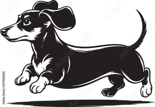 Dachshund Vector Illustration Running with Short Legs and Long Body Art