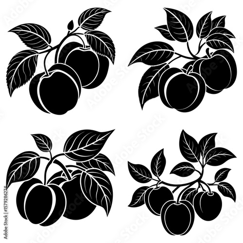 Illustration of four apple tree branches with leaves and fruit in black and white vector format