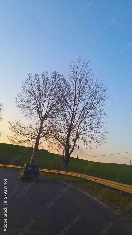 Fototapeta premium driving on the road in autumn